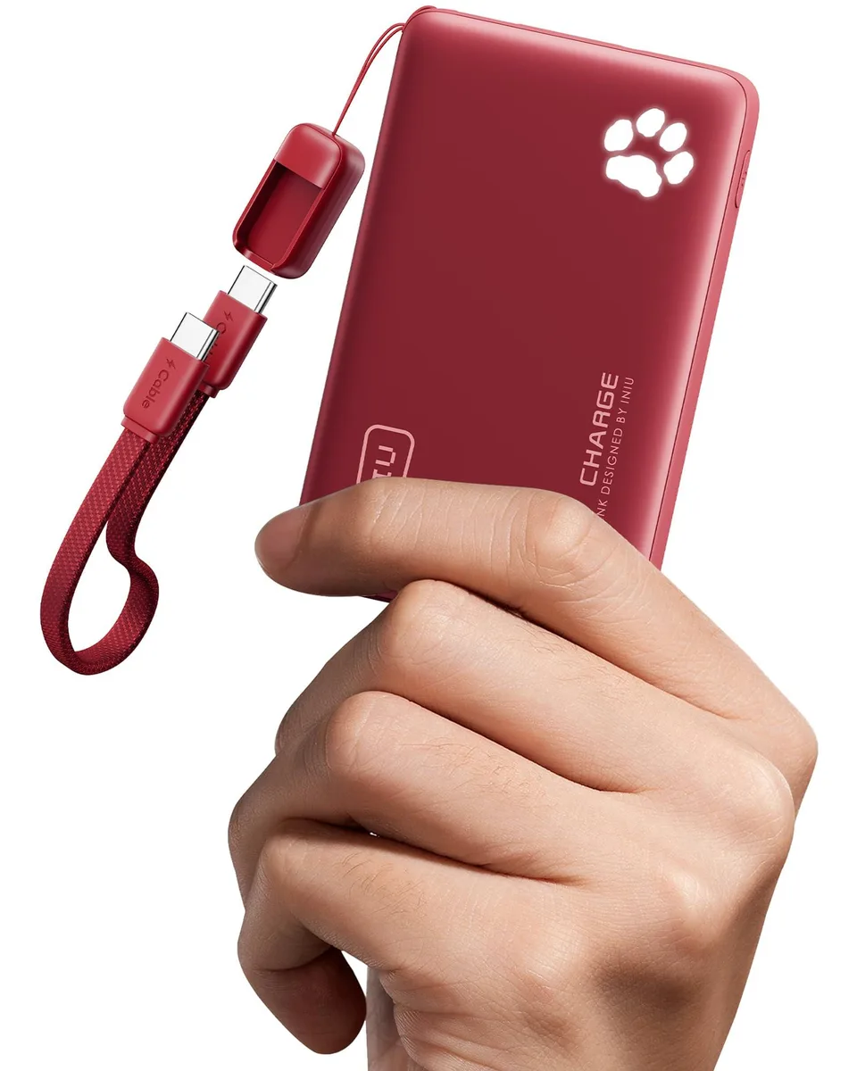  INIU P41 10000mAh 45W power bank — product photo