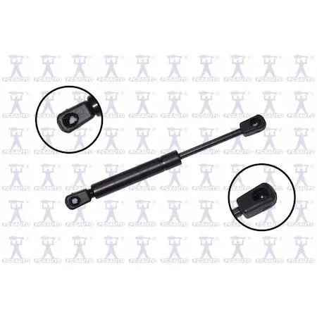 Transparent gas strut with piston rod and end fittings