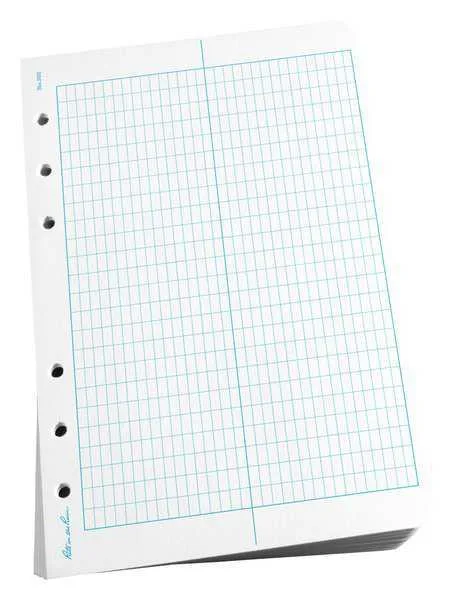 Pack of 100 white loose-leaf sheets with six holes