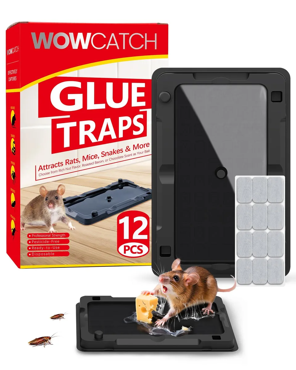 Twelve flat black glue boards on a white background