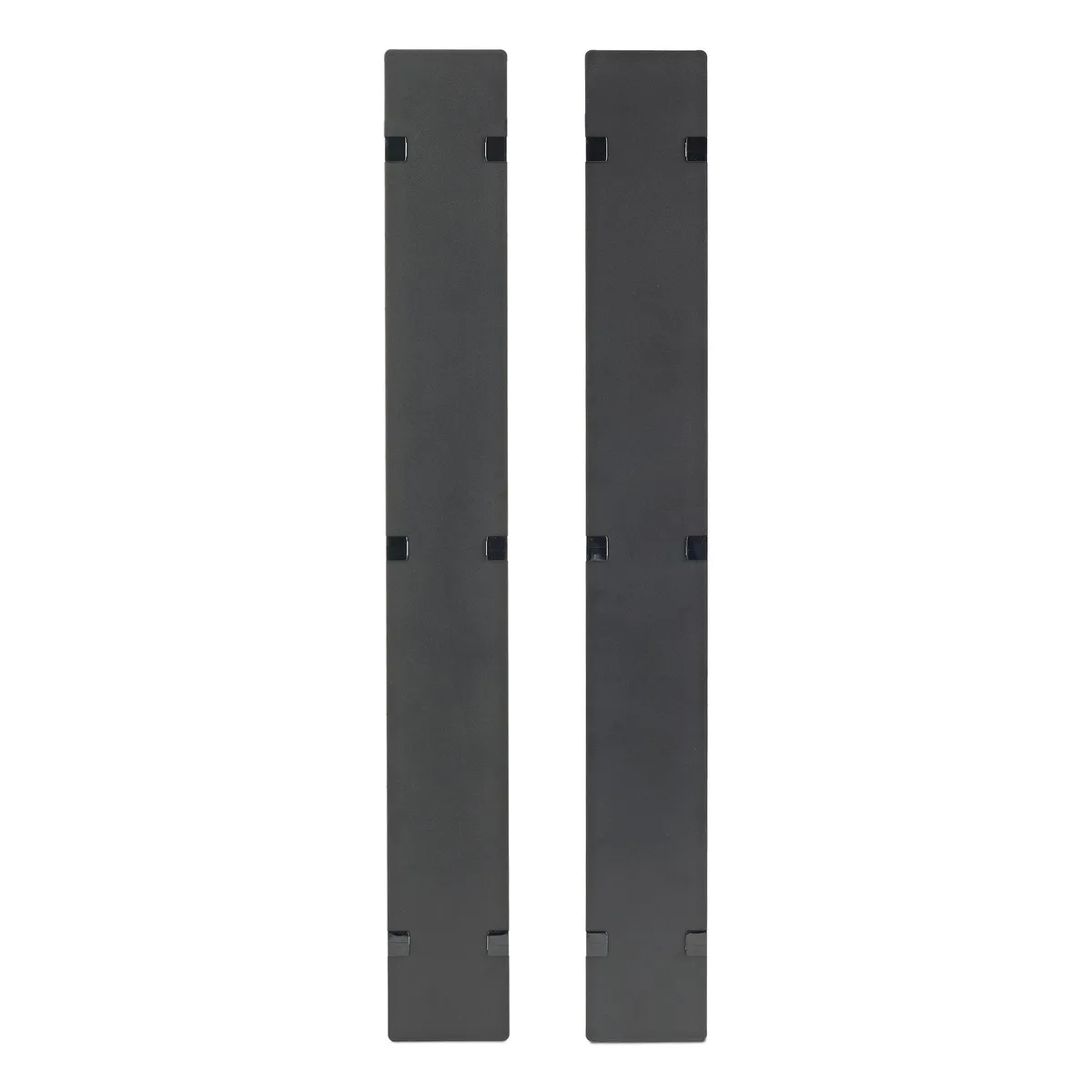 APC APC AR7581A Hinged Covers NetShelter SX 750mm 42U server rack — product photo