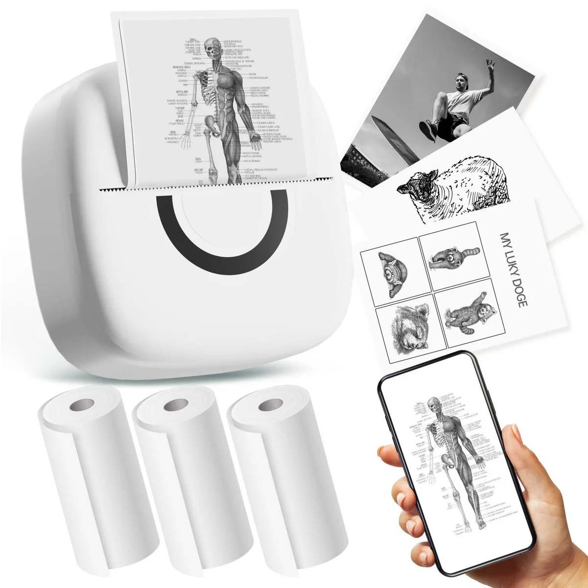 Compact white thermal label printer with three paper rolls