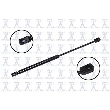 FCS Struts 86355 transparent lift support hood automotive accessory