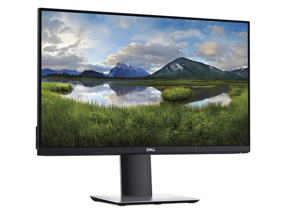 DELL DELL P2419H 24 1920 x 1080 60Hz IPS 2 in 1 accessory — product photo