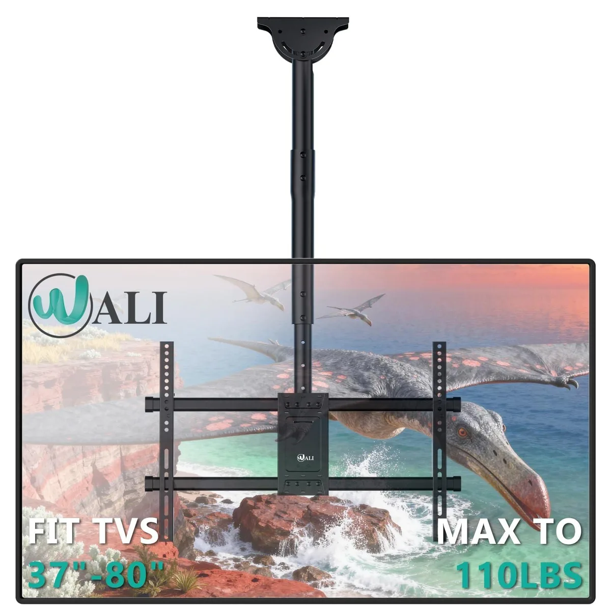 Avantalk Avantalk 2 in 1 Accessory Ceiling TV Mount 37-80 inch 110lbs — product photo