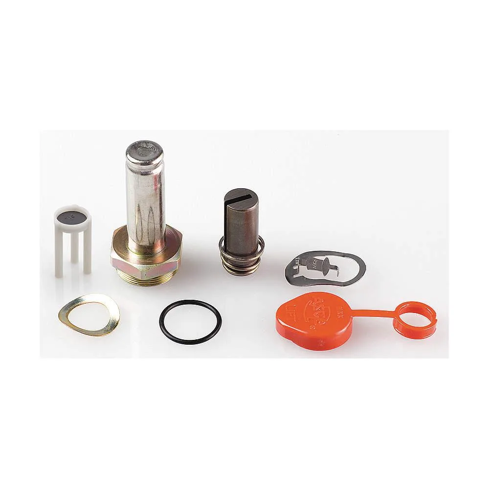 ASCO Power Technologies ASCO Power Technologies 302227 Valve Rebuild Kit — product photo
