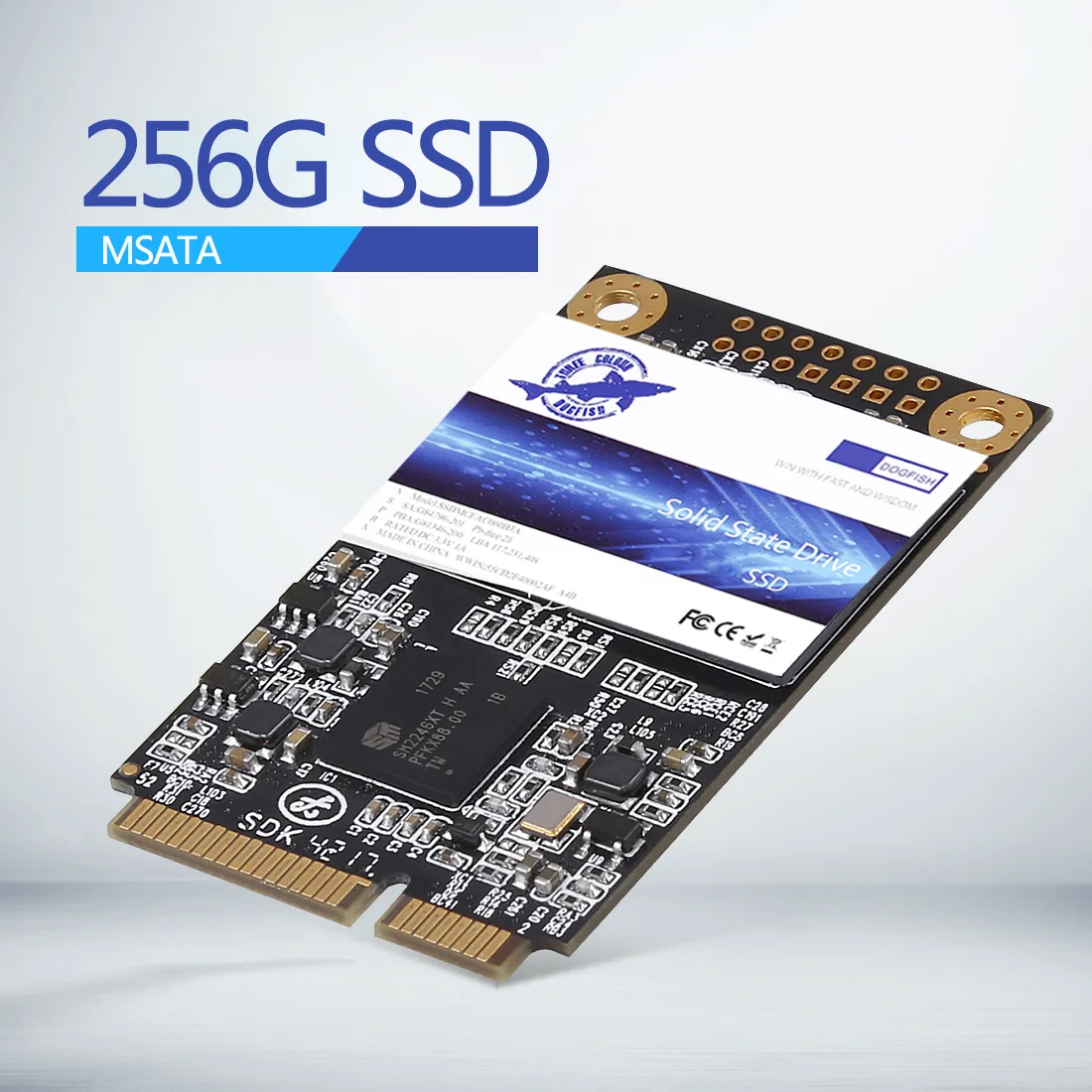 Dogfish Technology Dogfish Technology mSATA 256GB internal SSD — product photo