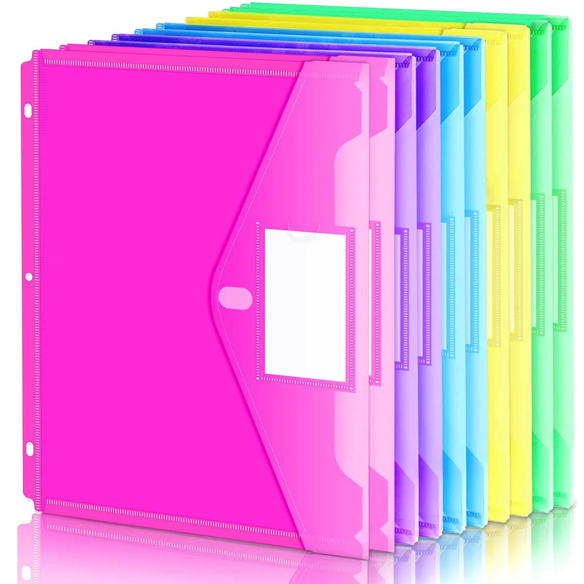 Ten transparent polypropylene binder pockets in assorted colours, side-loading with label window