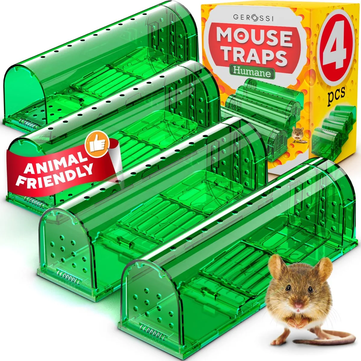 Four transparent rectangular live-catch traps with spring doors and air holes