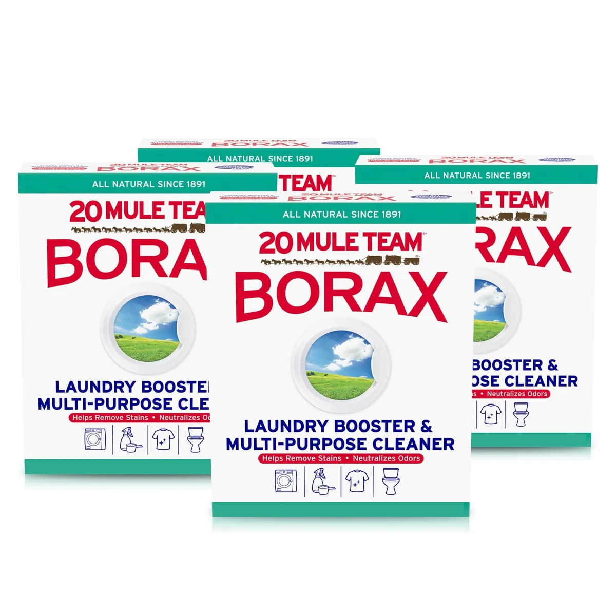 Four rectangular cardboard boxes of white borax powder, 65 oz each