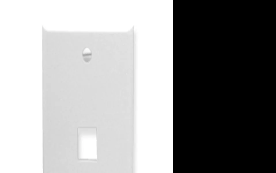 White single-gang wall plate with one rectangular port, two mounting screws included