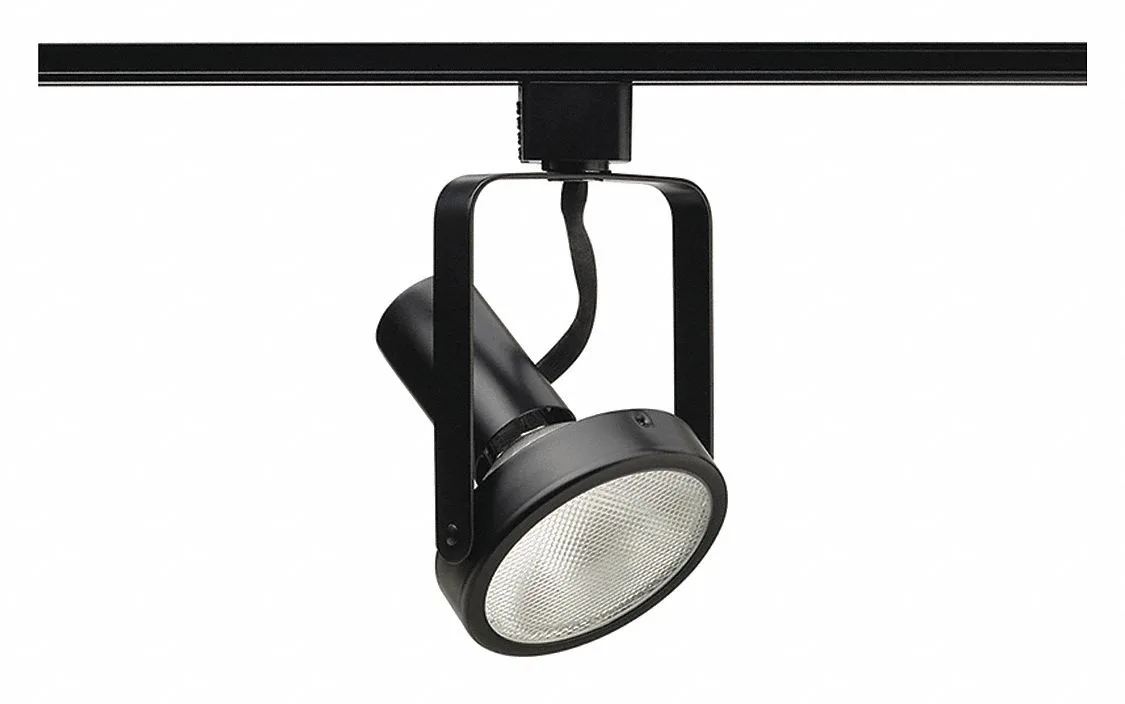 Juno Lighting Juno Lighting Track Fixture Open Back Spot 75W 120V — product photo