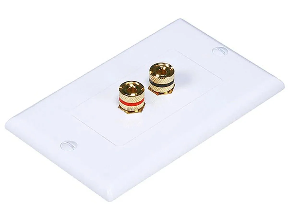 White rectangular wall plate with two gold binding posts