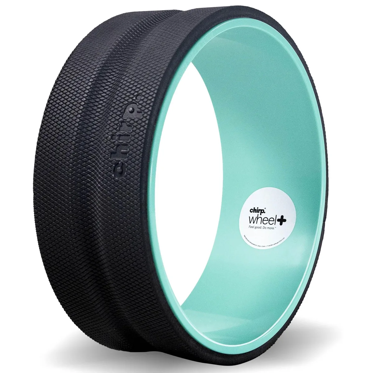 A mint-green 12-inch foam wheel with a black ABS core and textured padding