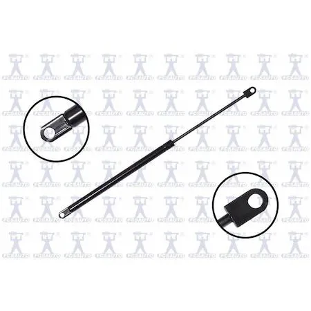 FCS Struts 84507 lift support hood transparent finish