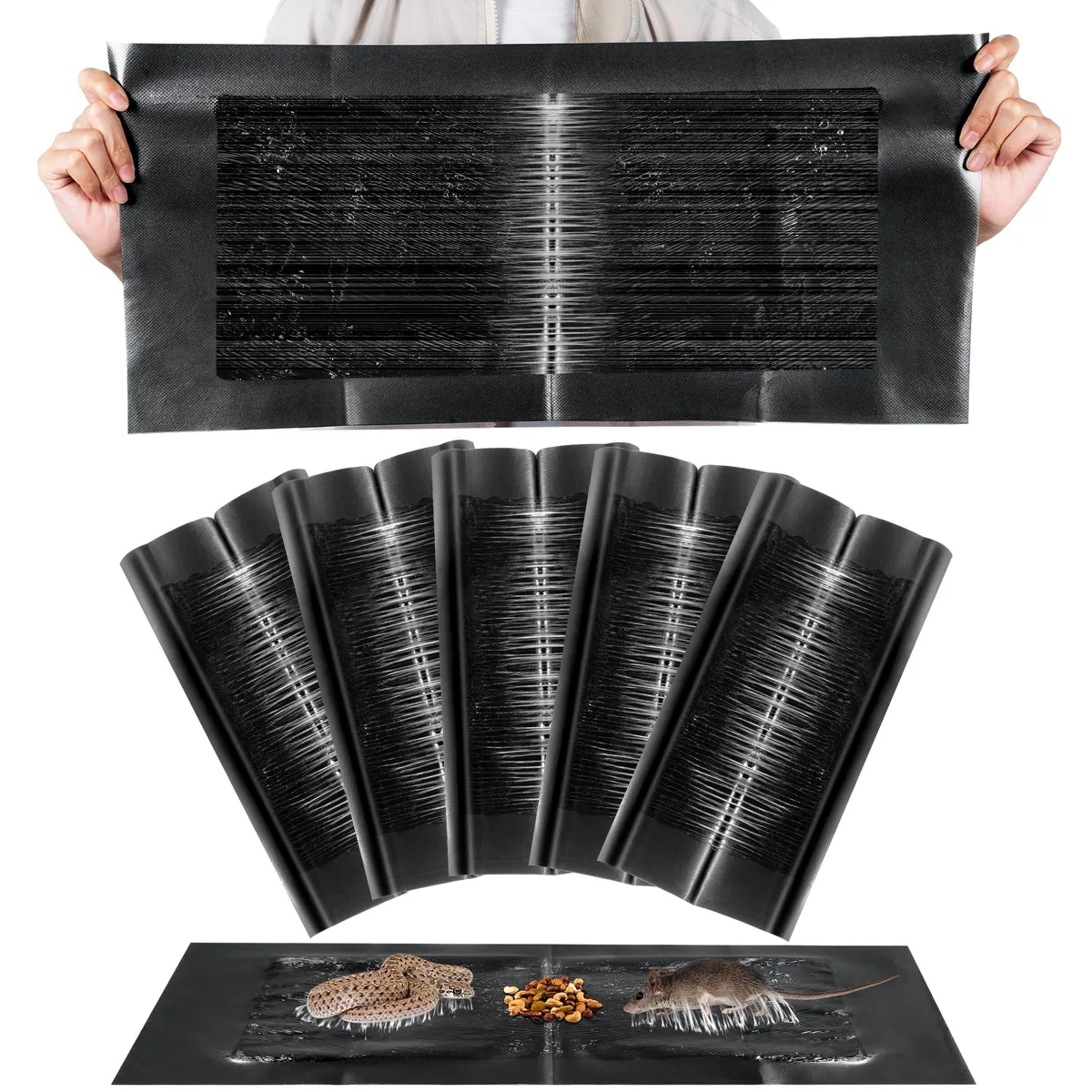 Five flat rectangular glue traps on white backing, each 24 by 11 inches, peanut scented, anti slip non woven fabric layer visible