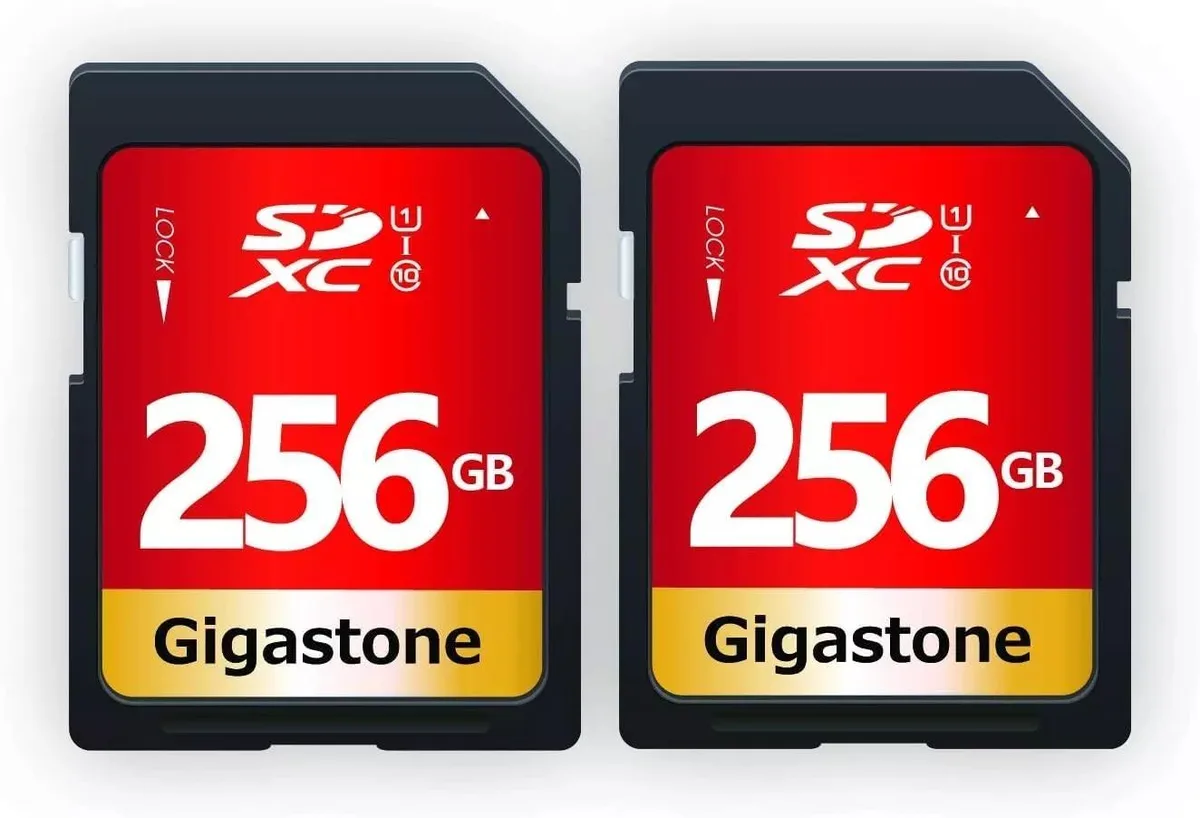 Gigastone Corporation Gigastone 256GB SDXC UHS-I U1 Class 10 Full HD Video 2 Mini Cases — product photo