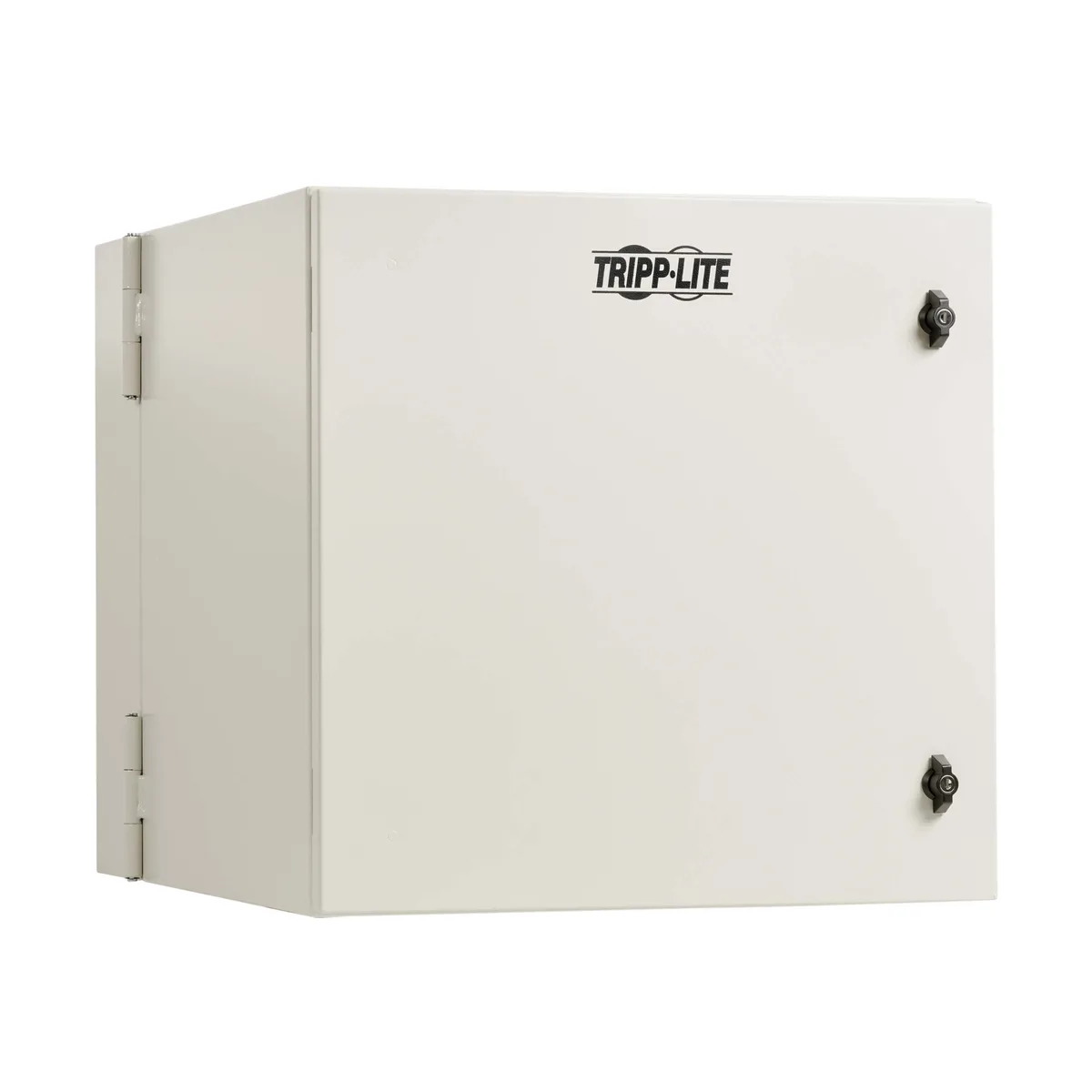 Tripp Lite Tripp Lite SRN4G12US 12U 28in Depth NEMA 4 Wall Mount Server Rack — product photo