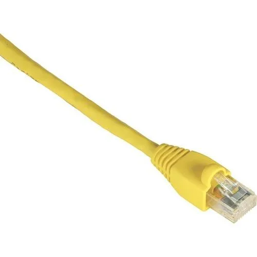 Black Box Corporation Black Box Corporation GigaTrue Cat. 6 Snagless UTP Patch Cable 1ft EVNSL6440001 — product photo