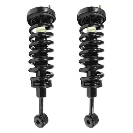 Pair of front complete strut assemblies in silver finish