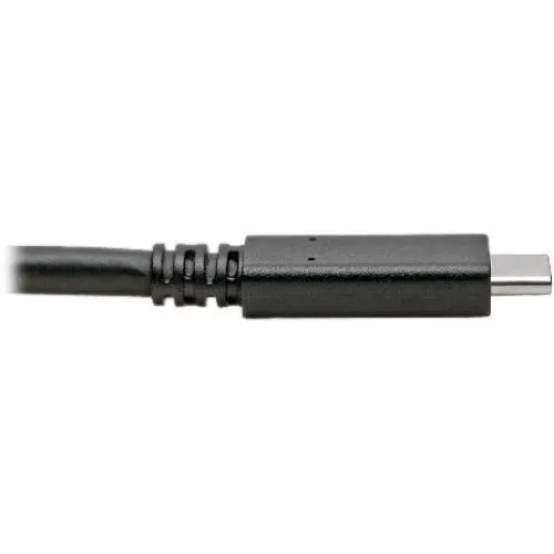 Tripp Lite Tripp Lite U420-C06 USB-C to USB-C cable 6 ft — product photo