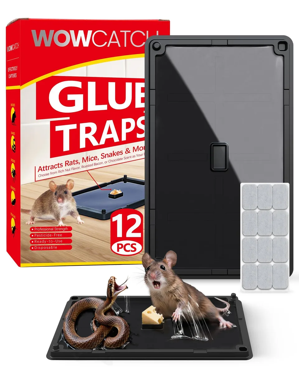 Twelve flat black polypropylene glue boards 9.1 by 5.4 by 0.6 inches