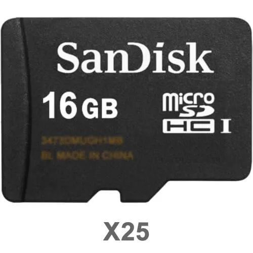 SanDisk SanDisk microSDHC 16GB Class 4 25-pack — product photo