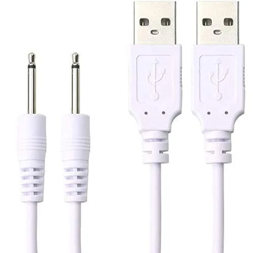 Two black 2.5 mm DC cables 3.3 ft long with USB Type-C ends