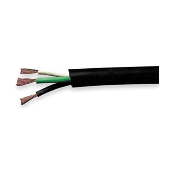 Carol Carol 12 AWG 3 Conductor SOOW Portable Cord 600V 100 ft Black — product photo