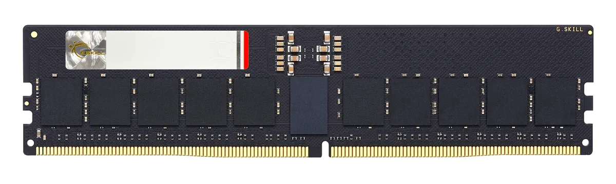 G.SKILL G.SKILL F5-5600R4645A48GX1-G5 48GB DDR5 5600 CL46 ECC Registered server RAM — product photo