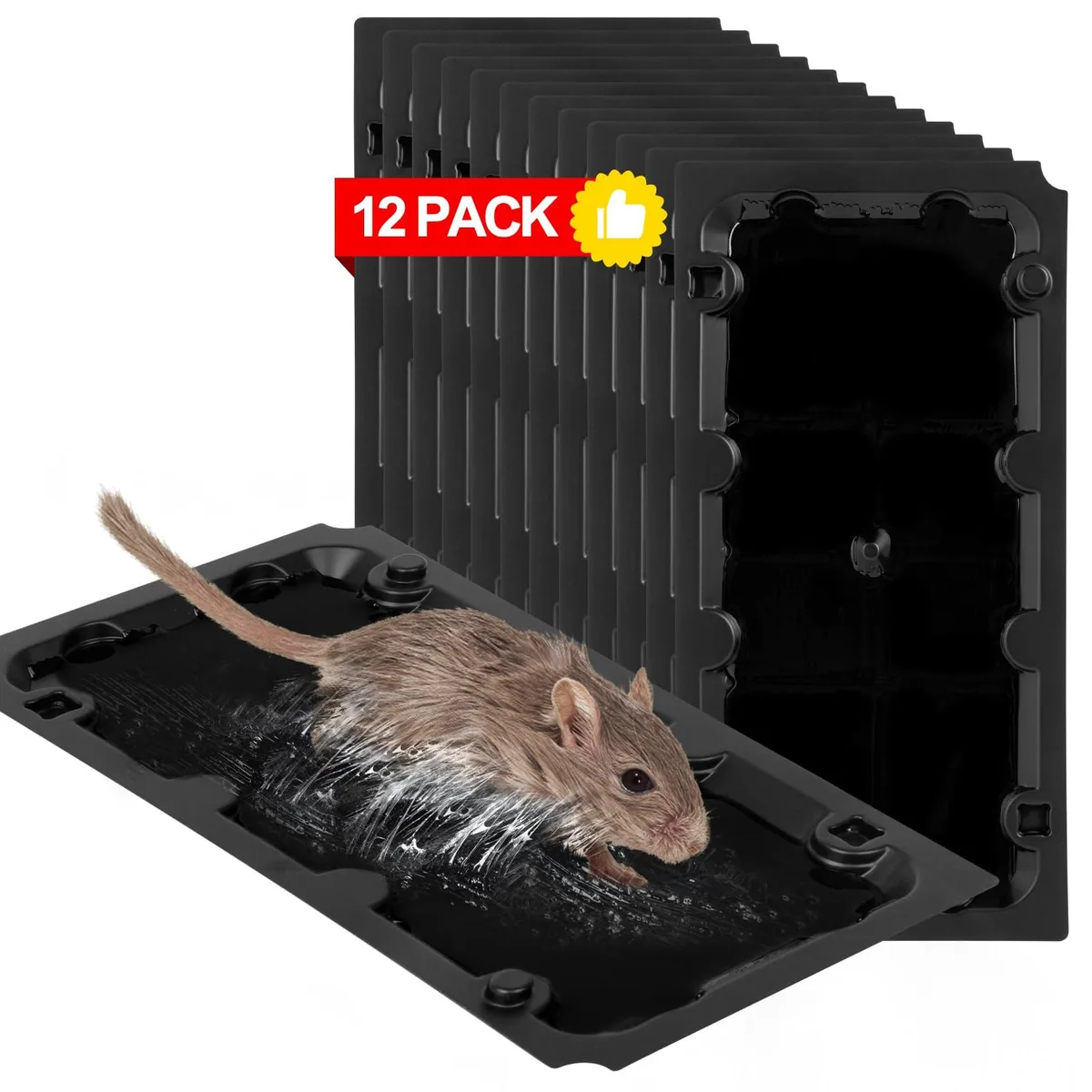 Twelve flat rectangular glue boards with peanut-scented adhesive surface
