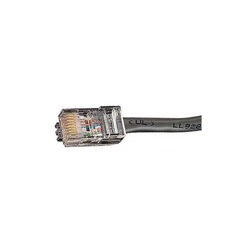 Black Box Corporation Black Box EVNSL647-0020 Cat6 550 MHz UTP Patch Cable 20 ft — product photo