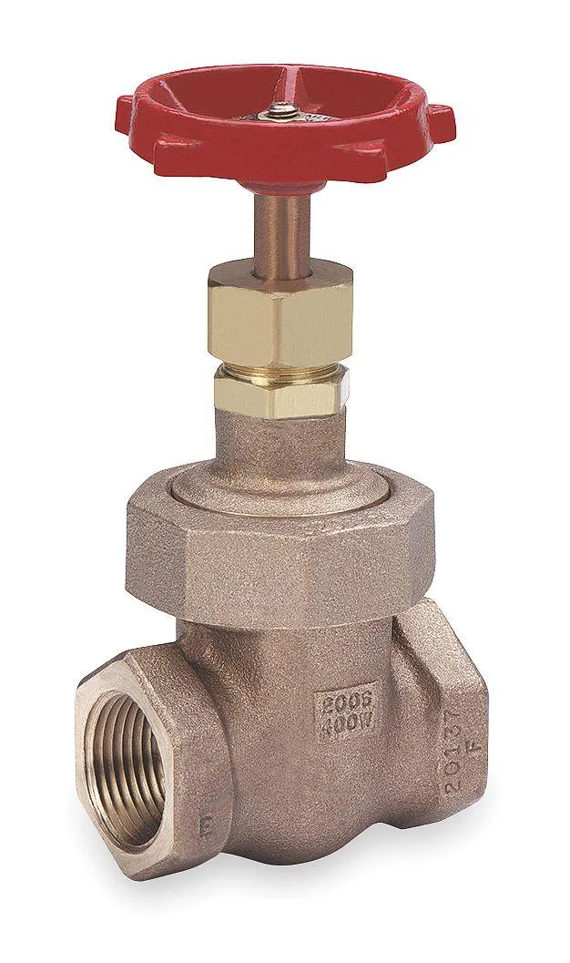 Bronze gate valve with iron hand wheel, two-inch FNPT connections