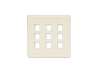 Hubbell Incorporated Hubbell Incorporated IFP212OW 12-port 2-gang wall plate — product photo