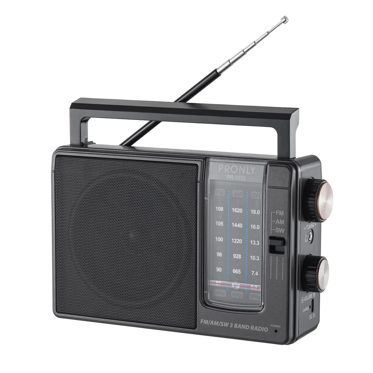  PRONLY PR-1012 AM FM SW Radio, Dual Power, Black — product photo