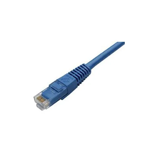 Blue Cat 6 patch cable with RJ45 connectors at both ends
