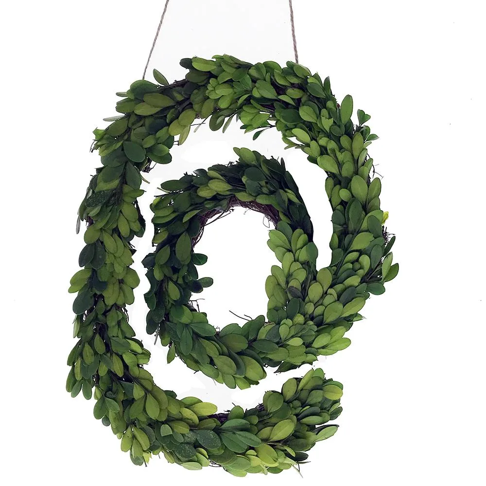 Vandue Corporation Vandue Corporation Modern Home 12" Real Preserved Boxwood Monogram Wreath Letter @ — product photo