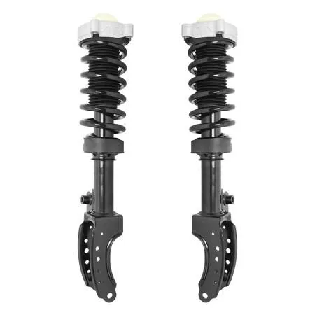 Pair of new Unity front complete strut assemblies with coil springs, mounts and hardware