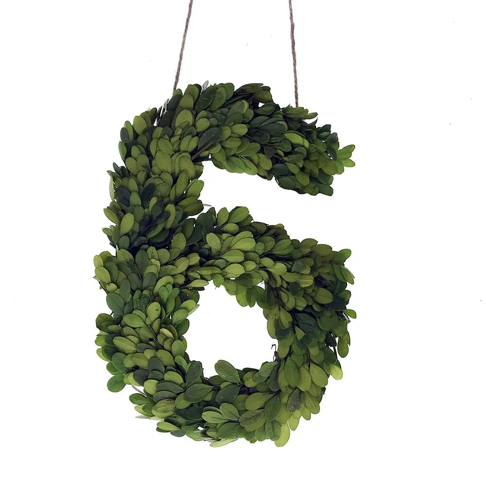 Vandue Corporation Vandue Corporation Modern Home 12" Preserved Boxwood Letter 6 — product photo