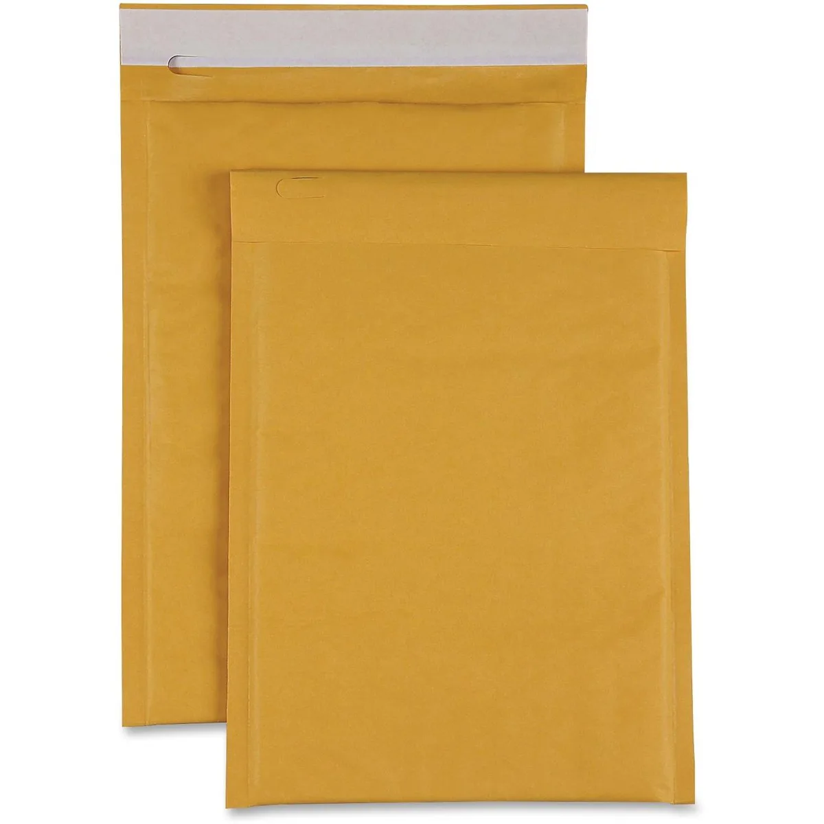 Sparco Products Sparco Products 74979 Size 00 Bubble Cushioned Mailers 250 Carton — product photo