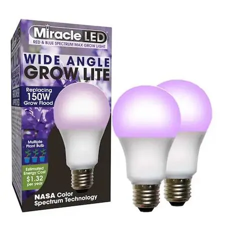 Two frosted A21 LED grow bulbs with red blue spectrum finish