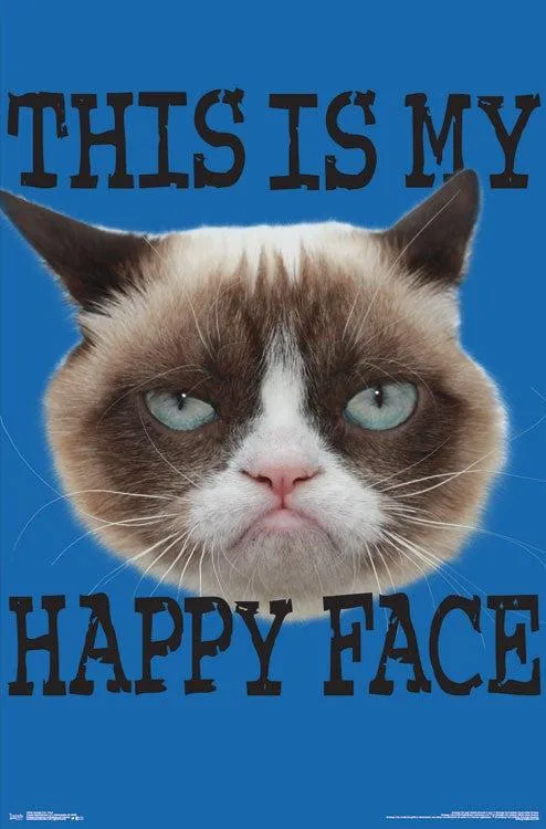 Rectangular poster print showing the face of Grumpy Cat on white paper 22 by 34 inches