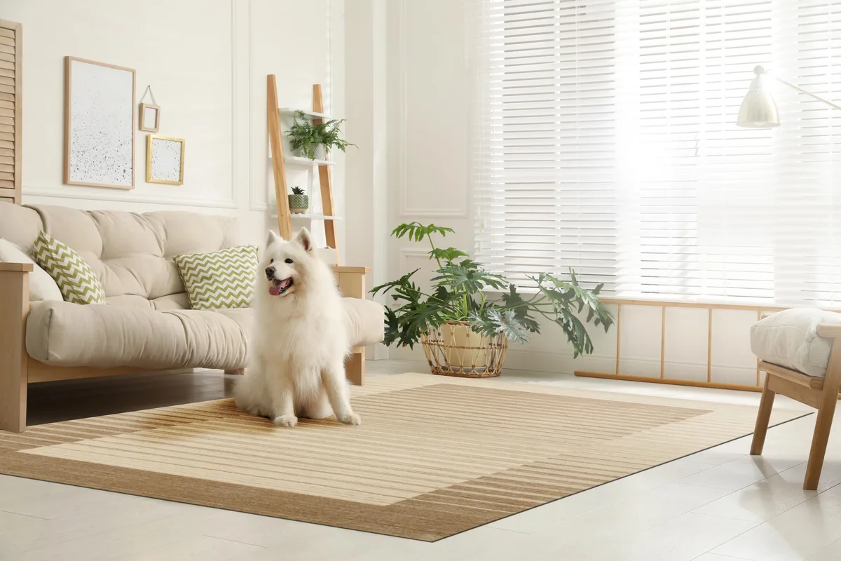 EORC EORC Ivory/Brown Handmade Wool &amp; Viscose Area Rug 10' x 14 — product photo