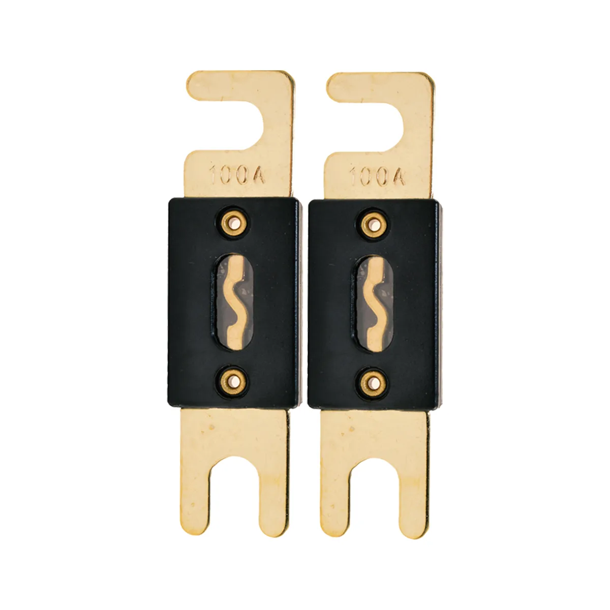 The Wires Zone The Wires Zone GANL100-2 100A ANL Fuse 2 Pack Amplifier — product photo
