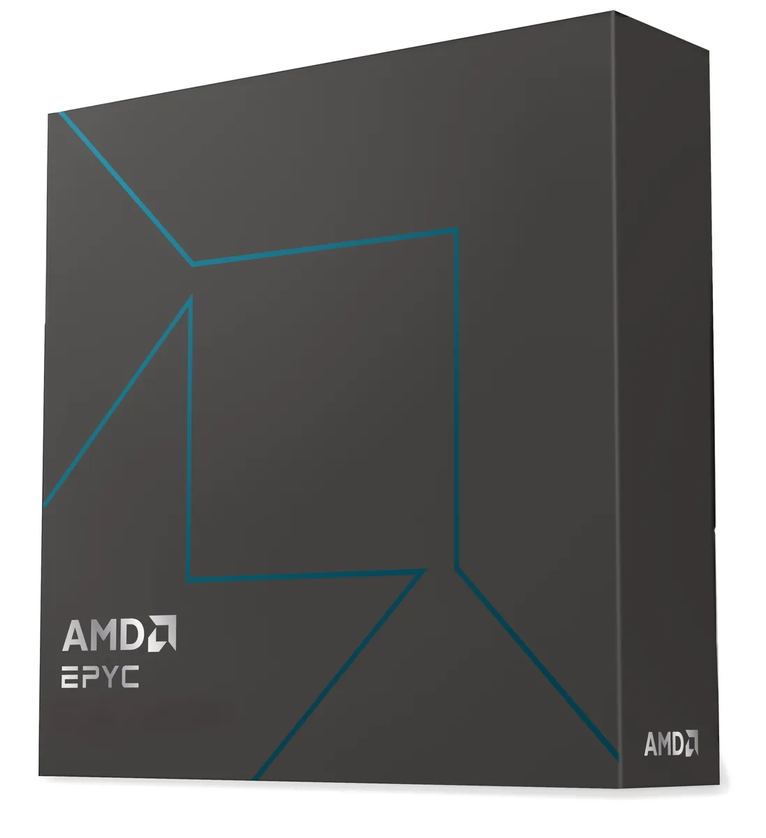 AMD AMD EPYC 4545P 16-Core 65W Server Processor 100-100001764WOF — product photo