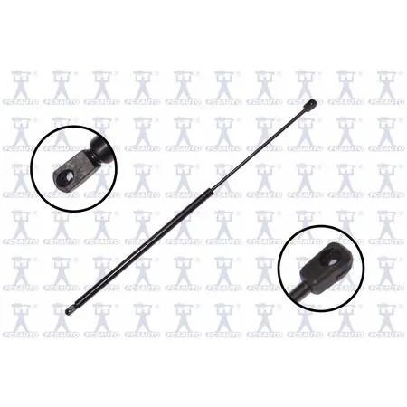 FCS Struts 86241 transparent lift support hood