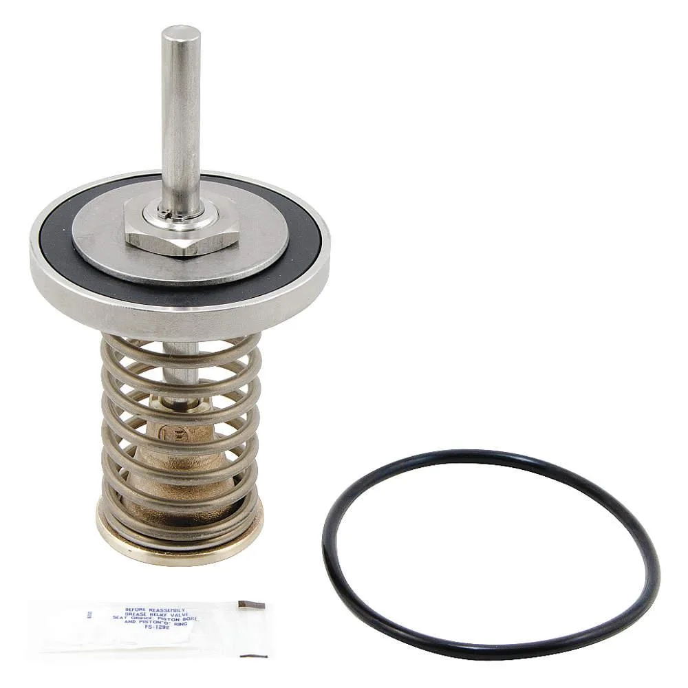 Watts 909 first check valve repair kit in box