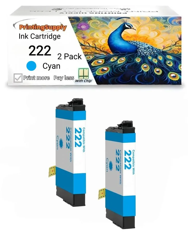 Aster Graphics Inc Aster Graphics Inc 222XL Ink Cartridge 2 Pack Cyan 185 pages — product photo
