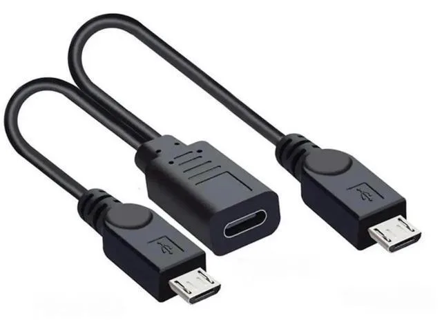 Short 0.3m USB-C to dual Micro USB splitter cable