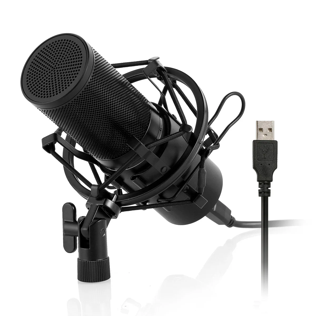 Werleo Werleo Professional Studio Condenser Microphone Kit Black — product photo